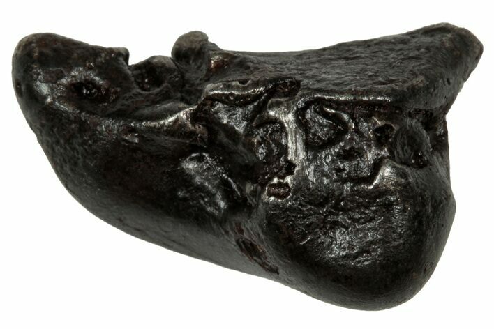 Fusion Crusted Sikhote-Alin Iron Meteorite ( g) - Russia #334579